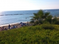 45Paphos Beach (5)